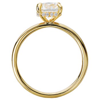 Diamond Hidden Halo Engagement Ring 160151-RD100Y