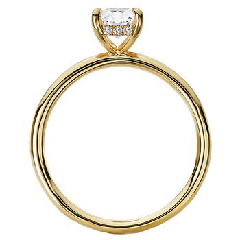 Diamond Hidden Halo Engagement Ring 160151-EM100Y